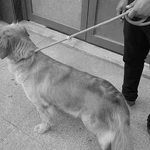 Uxzdx кучиња олово поводник поводник на најлонски кучиња прилагодливо кучиња затемнување Трајлив јаже појас